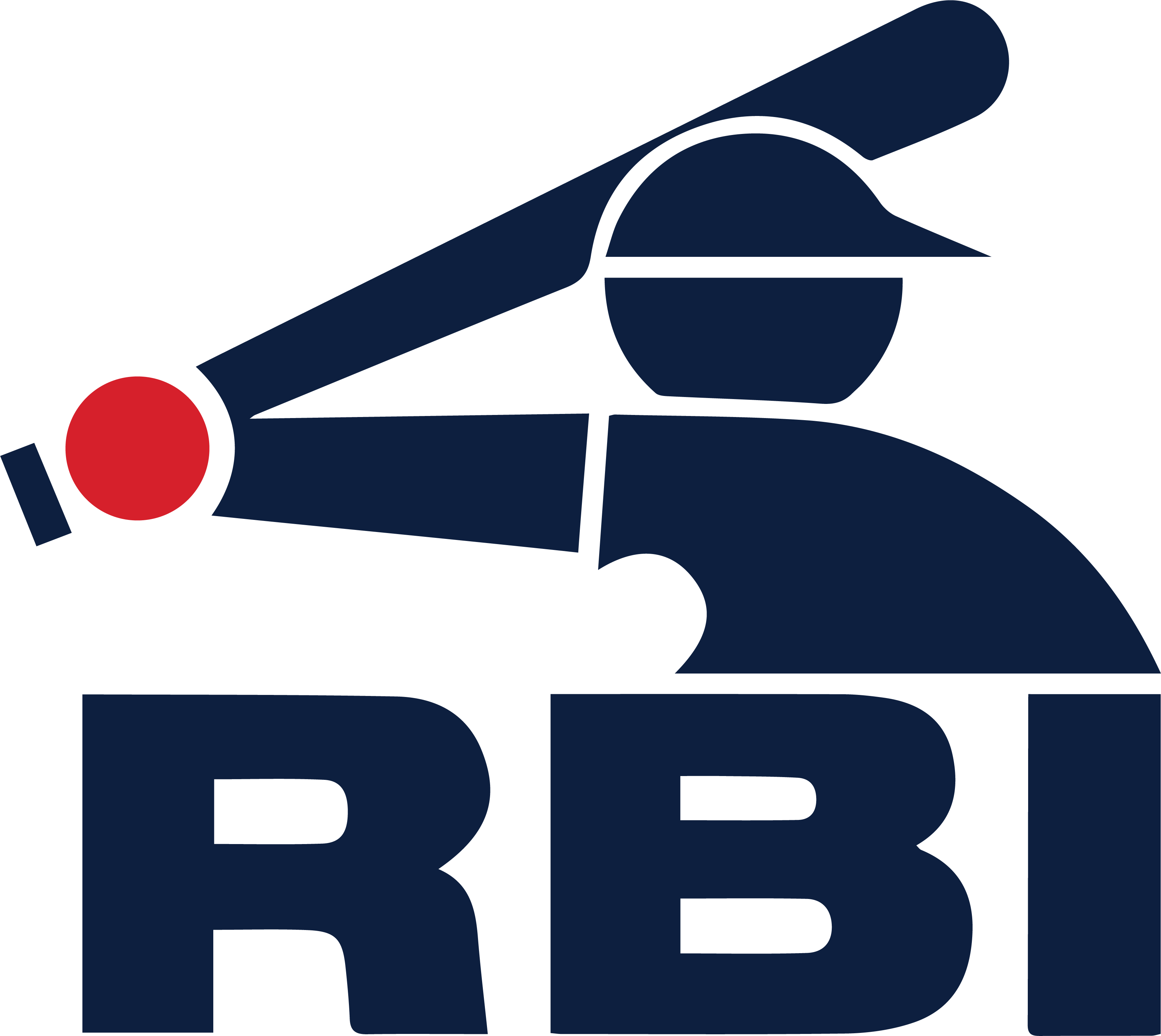 rbi baseball travel team